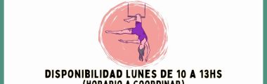 Taller de Trapecio